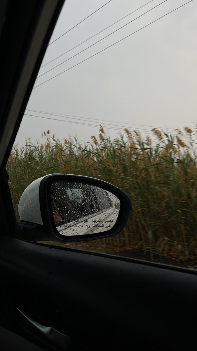 RmaadE's tweet photo. جاكم مطر ! وروني تصويركم للمطر والاجواء الحلوه 🧡🌧️ . https://t.co/FjaZEhtF4W