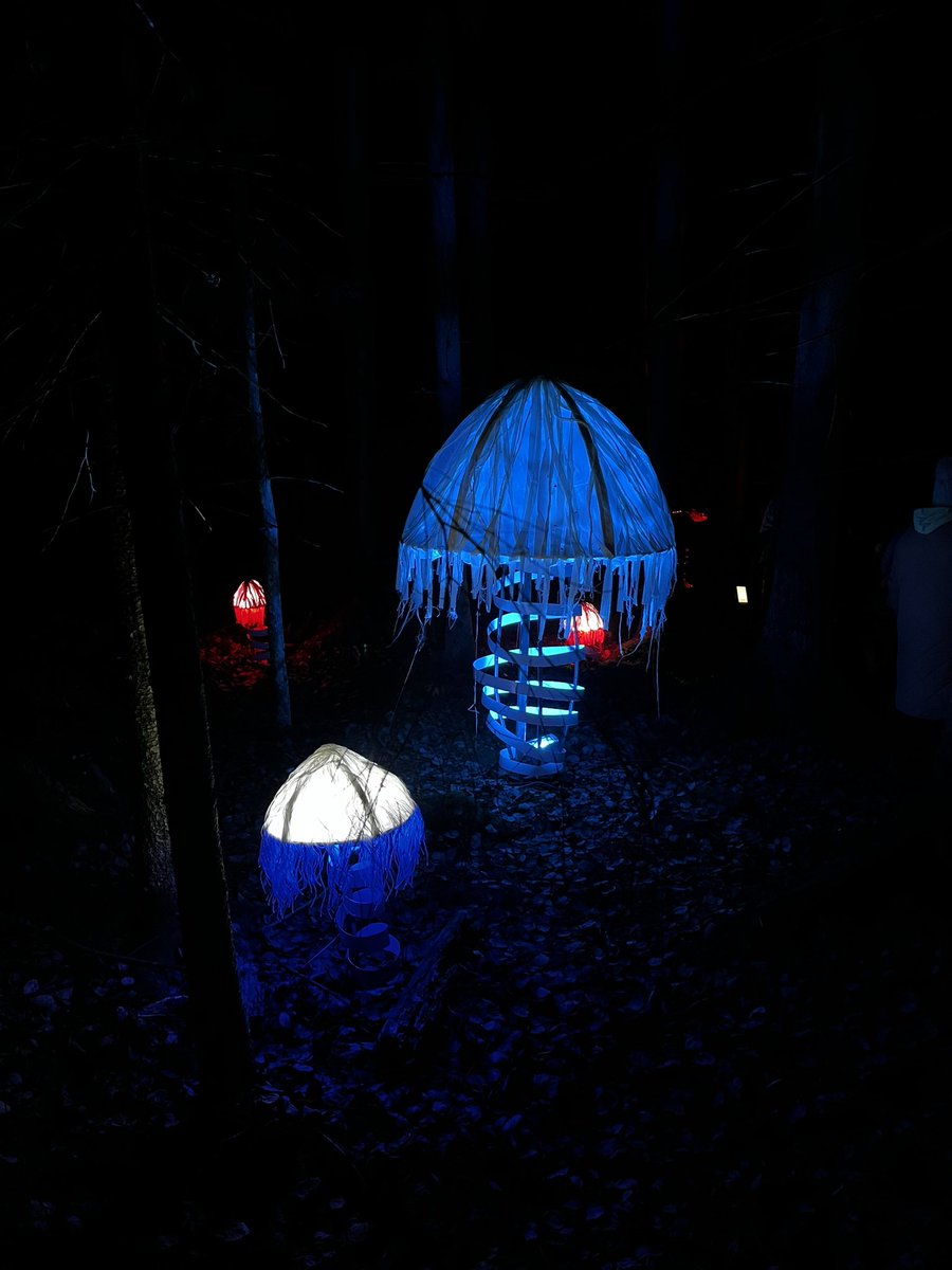 herranen_jari's tweet image. Step into a magical world of light and nature at #Valopoku in #Tampere. #LightArt #Forest