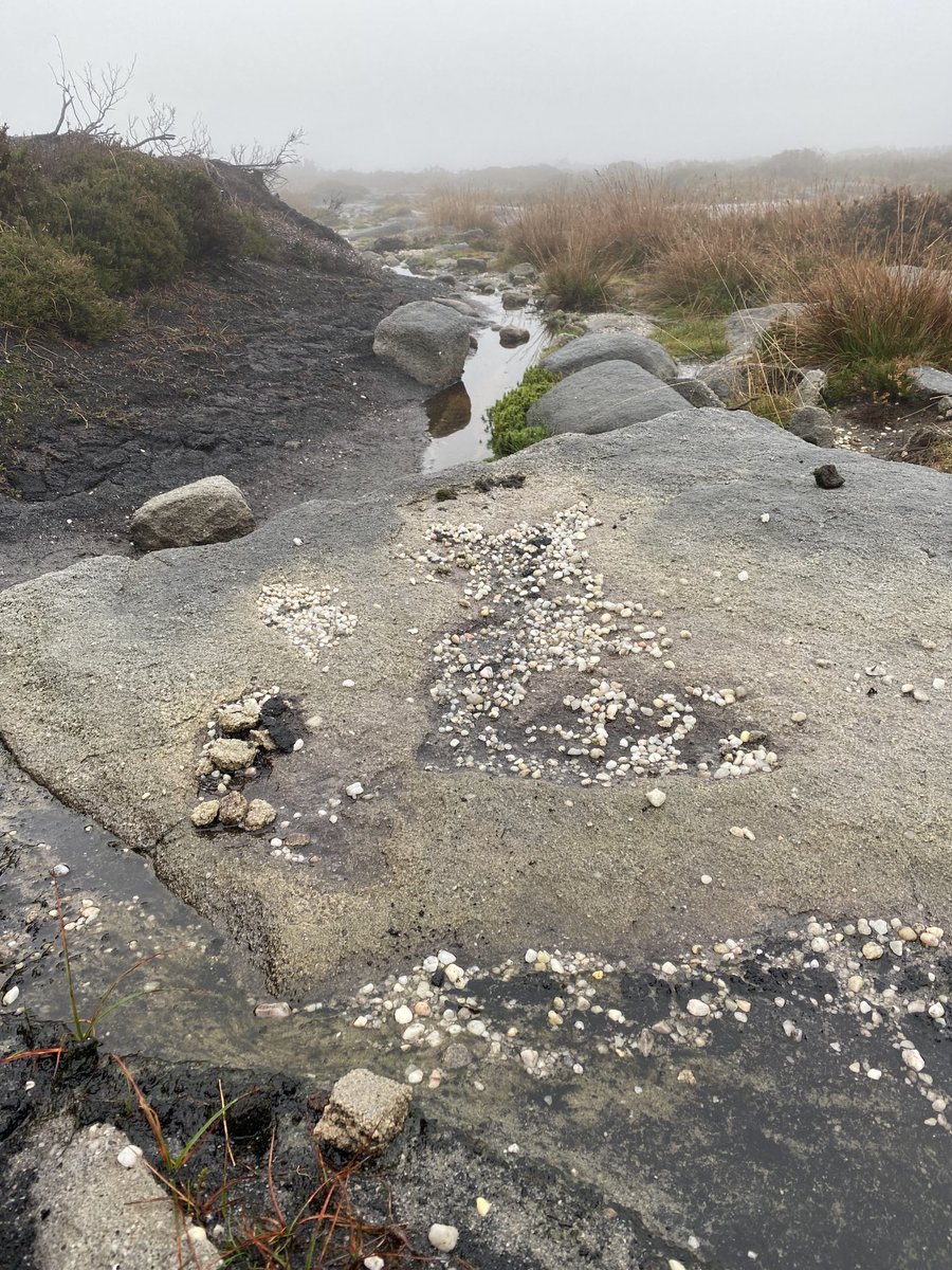Rather damp survey of Burbage Moor today