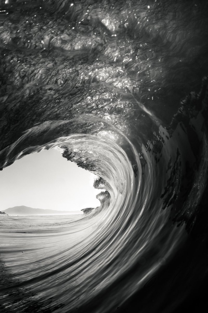 Black & White Backdoor 🌊