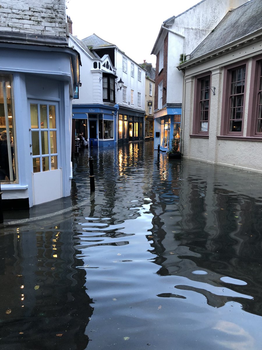 Fowey Aquarium (@foweyaquarium) on Twitter photo 