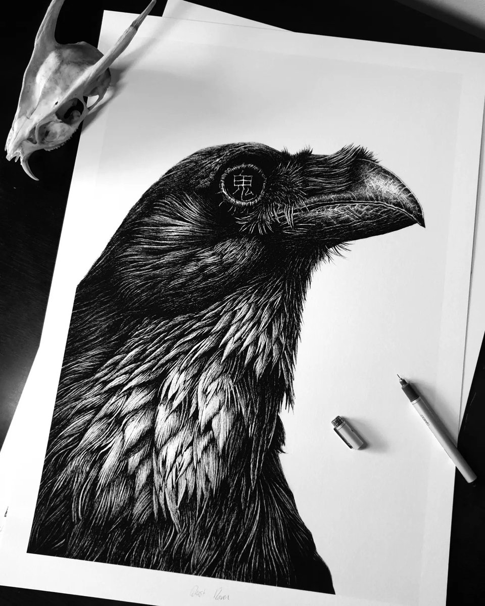 More Ghost Ravens flying out 🖤