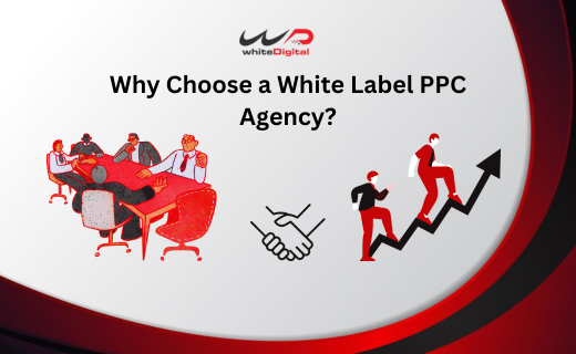 whiteDigitalIn's tweet photo. Choose White Label PPC Agency for campaigns, brand integration, and accelerated growth. 🚀Trust specialized expertise and focus on your business’s success🎯For more, Check this article
#whitelabelPPC #ads #digitalmarketing #growyourbusiness #growyourbrand
https://t.co/jRgJt4Kas3 https://t.co/jkf3fEQ6yC