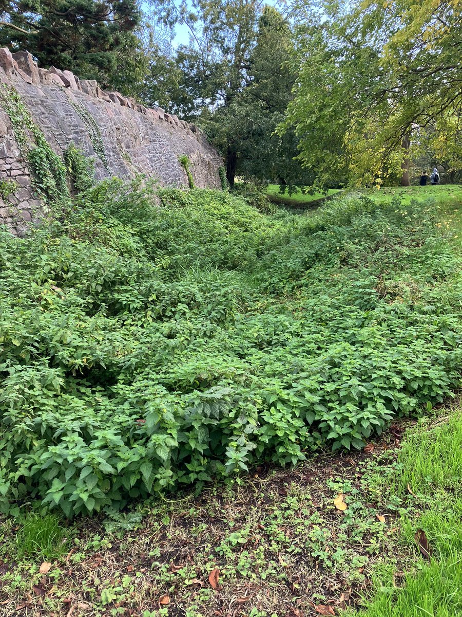 Civil war fortifications at Brandon Hill Bristol anyone? Distinct lack of interpretation though. Had to rely on <a href="/HistoricEngland/">Historic England</a> NHLE entry at historicengland.org.uk/listing/the-li…