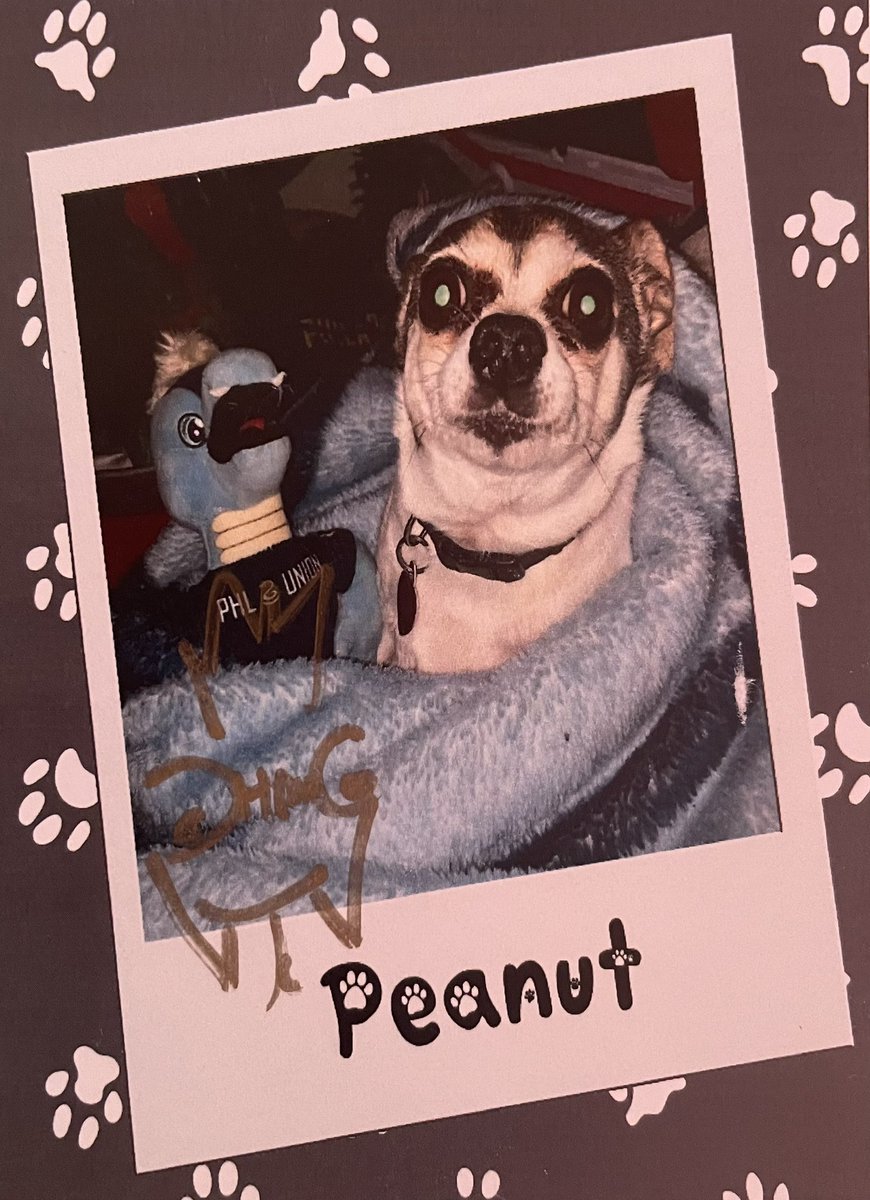 FatherOfBen's tweet photo. Thank you @SonsofBen! Thank you @PhilaUnionPhang! #PintsForPets https://t.co/fmEVbGuMiD