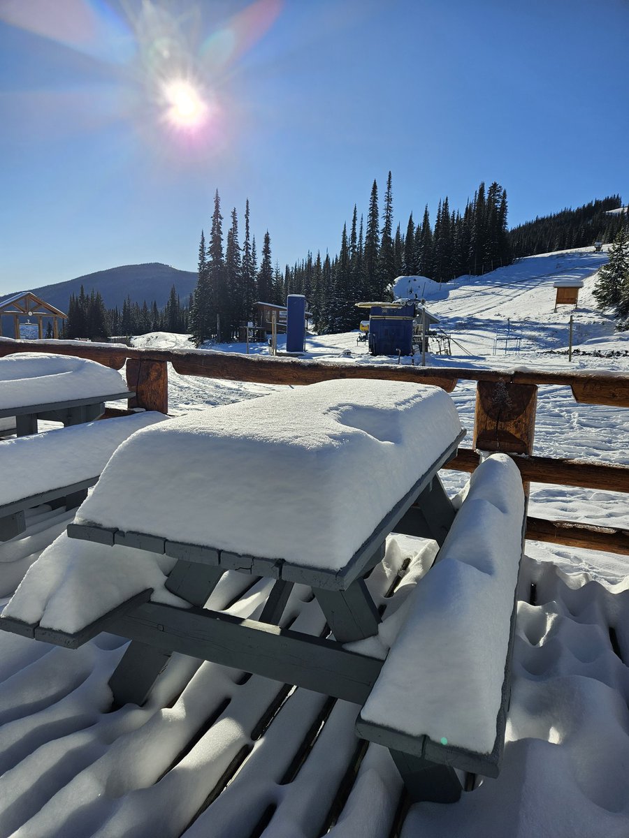 Trevor Knowlton (@trevor_know) on Twitter photo 