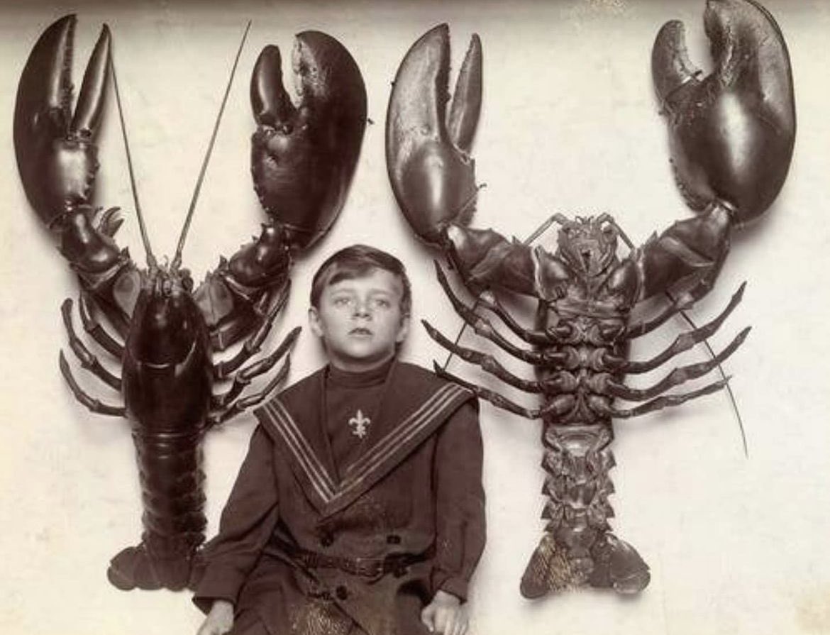 During the American colonial era, lobsters were considered 'garbage meat' and were eaten by indentured servants, prisoners, and poor families that couldn't afford anything else. Even the indigenous tribes that lived near the coast would use lobsters as fertilizer or fish bait