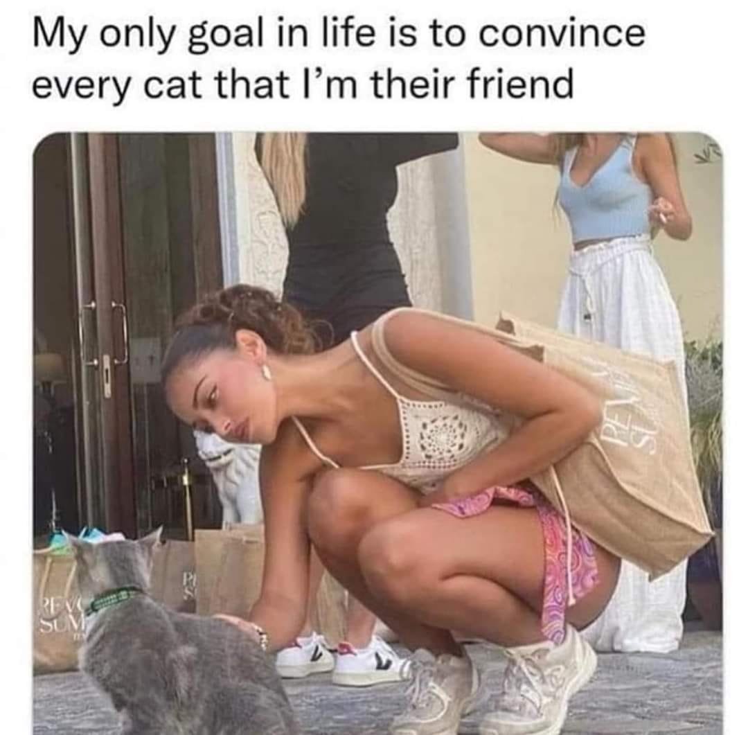 WholesomeMemes (@wholesomememe) on Twitter photo 