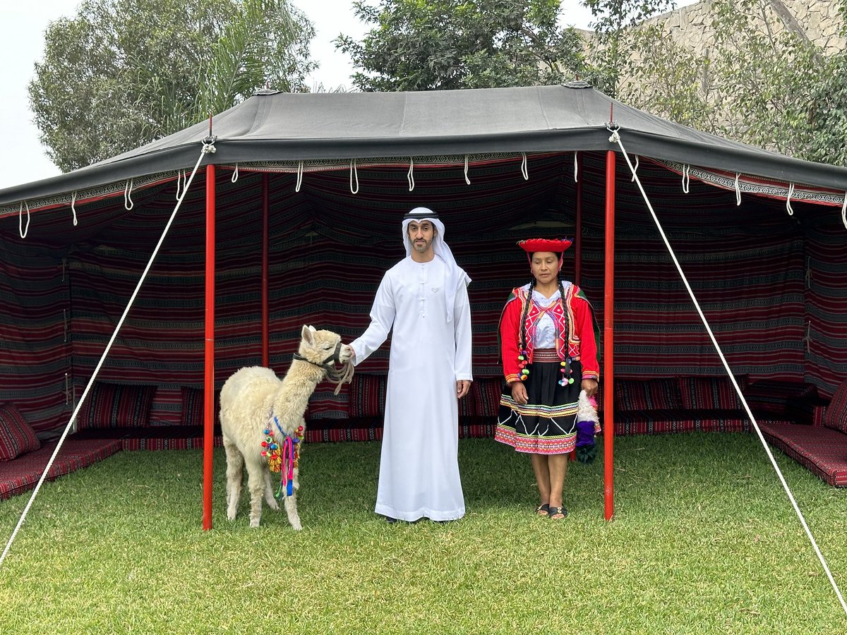 mohamedelshamsi's tweet photo. Alpaca Peruana ألباكا البيروفية https://t.co/EINi9axyeH