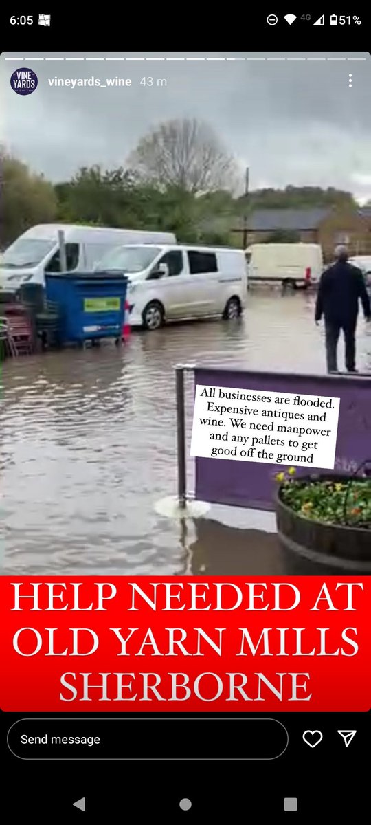 Liberty Fields tweet media