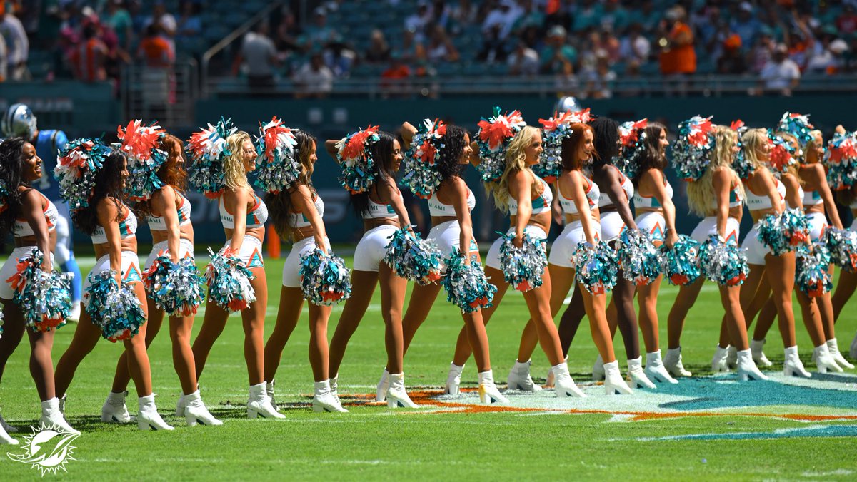 Miami Dolphins Cheer tweet media