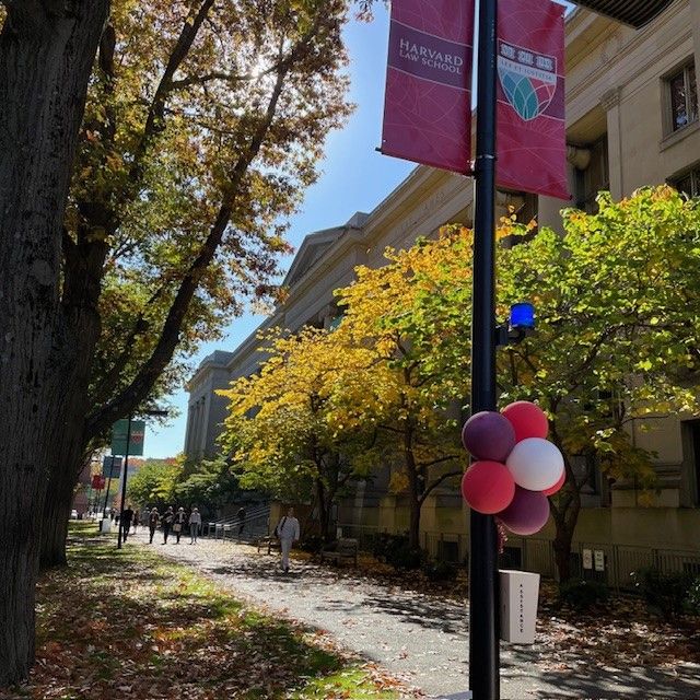 Harvard Law Library tweet media