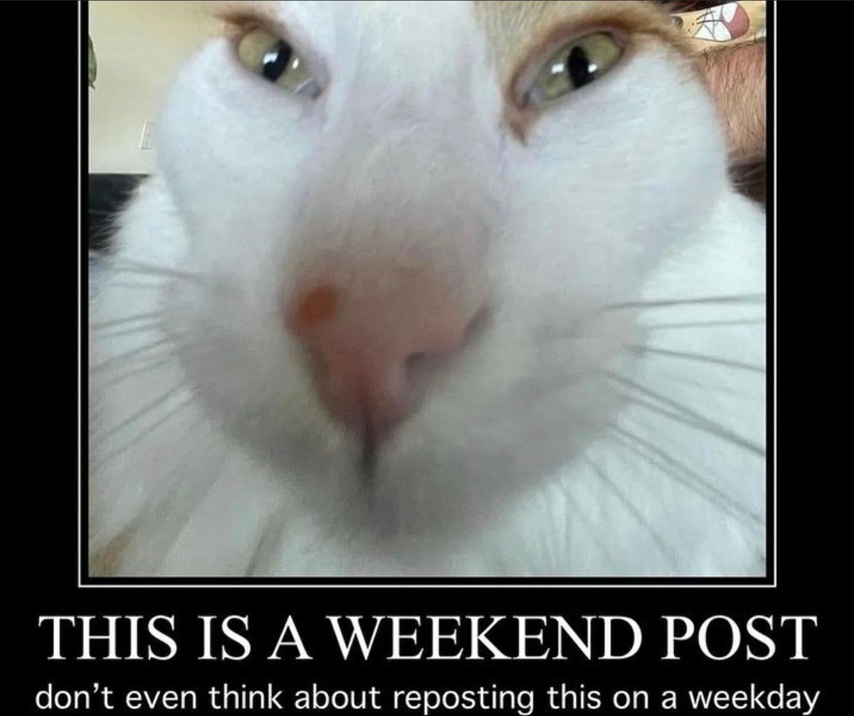 WholesomeMemes (@wholesomememe) on Twitter photo 