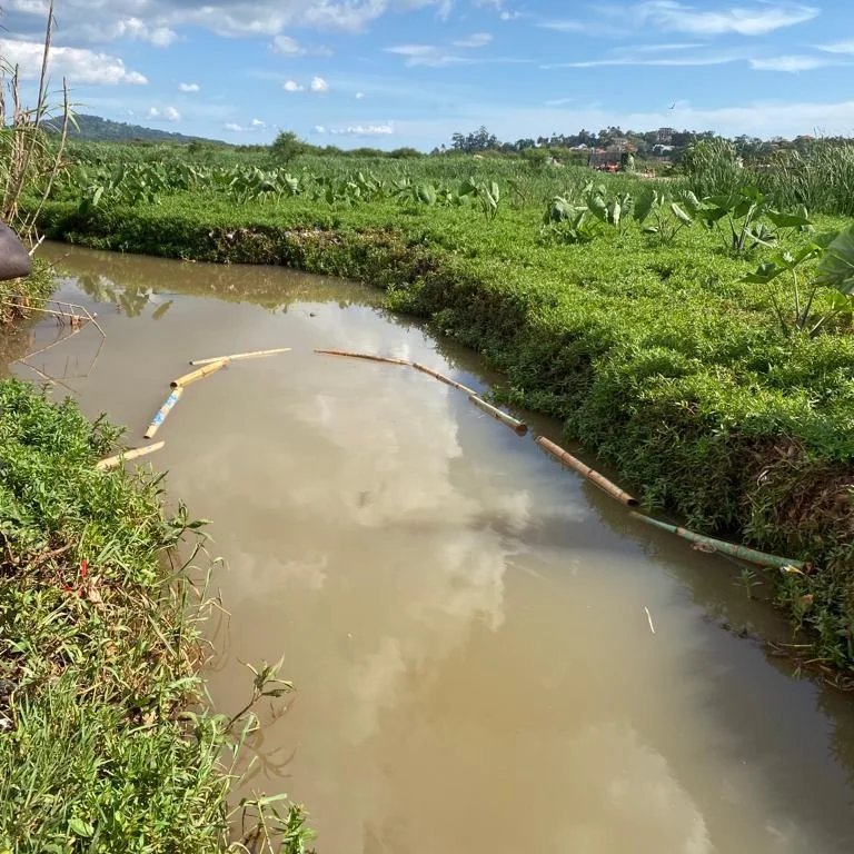 UgandaRangers's tweet photo. #UgandaJuniorRangers #OEOO increasing aquatic plastic litter reduction through #Bamboo litter traps, to limiting leakage of plastics into Lake Victoria and the River Nile. https://t.co/37PtZiu1FX