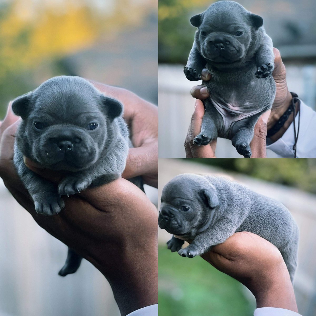 Bleezy Ru😈 tweet media