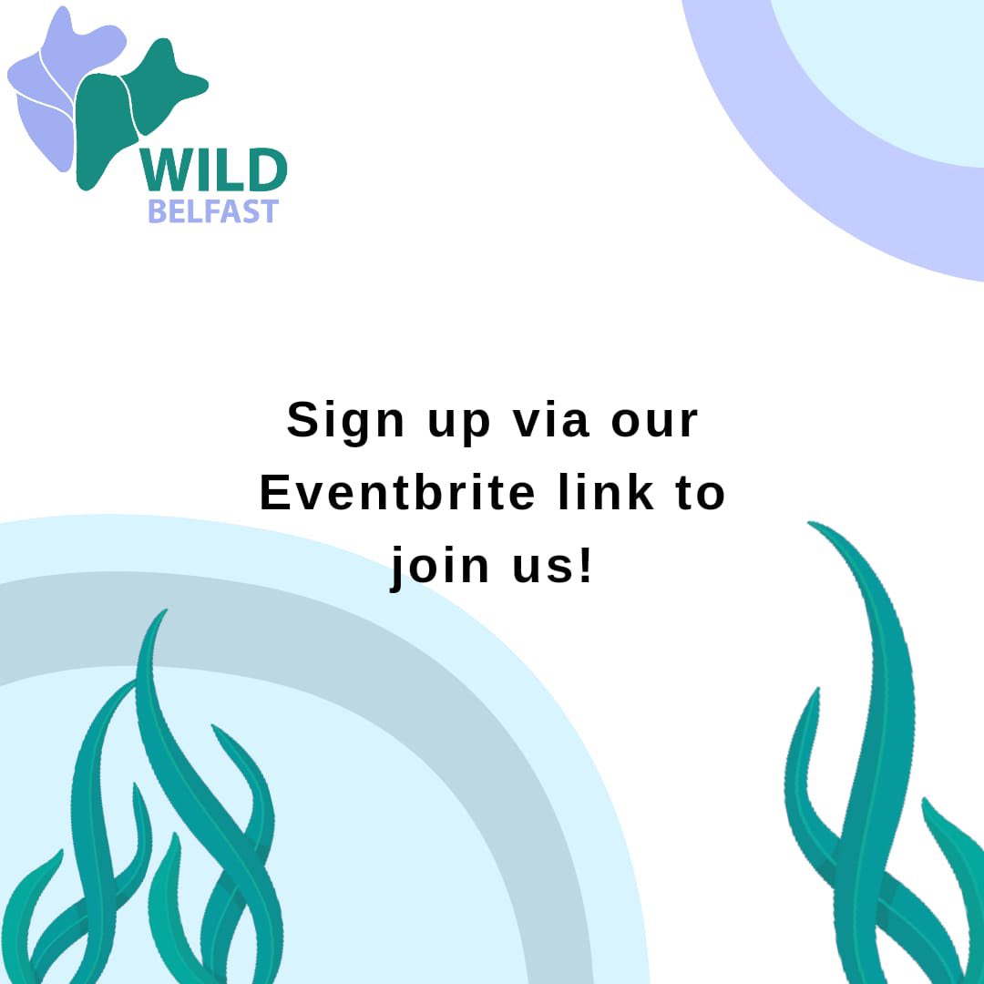 We are hosting another day of exploring the rocky shore and tidal pools of the Belfast Lough! 🦀 Saturday at 2pm, 11th of November at Loughshore Park, Jordanstown

Register via the Eventbrite link below!

eventbrite.com/e/wild-belfast…