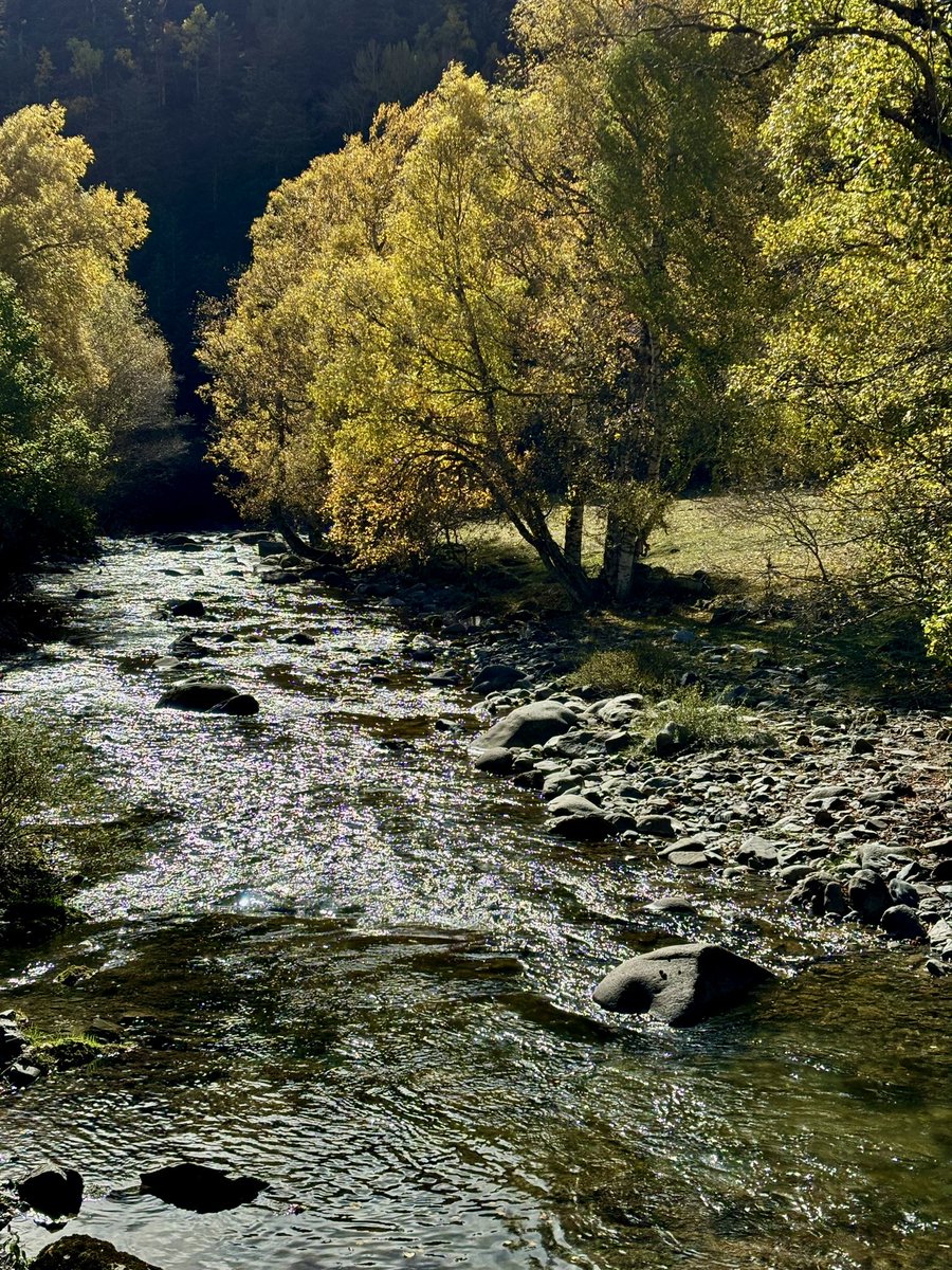 Colors de tardor a Bonabé.
#NoalaMina #pnaltpirineu #SalvemSalau #pallarssobira #noguerapallaresa #valldebonabé