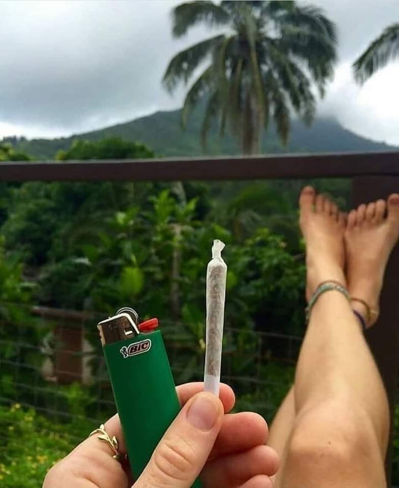 Where are you stoning from?
 🌿