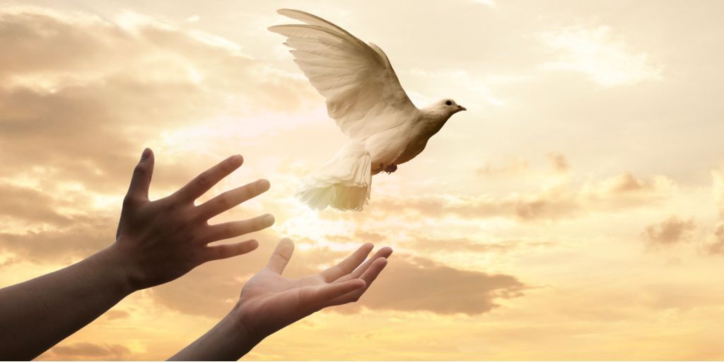 LornaByrne's tweet image. We shouldn't ever doubt the power of prayer. Any feeling of sadness or compassion inside us is in fact a type of prayer. But it becomes much bigger if we do acknowledge it in the form of prayer.

Blessings Lorna

#prayer #thepowerofprayer #prayercanmovemoutains #prayhelps