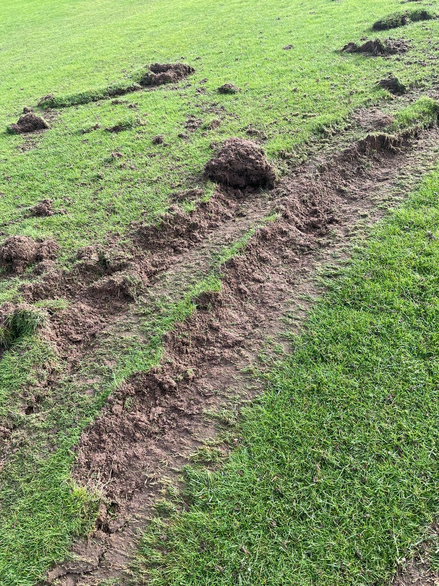 Tilford Cricket Club tweet media