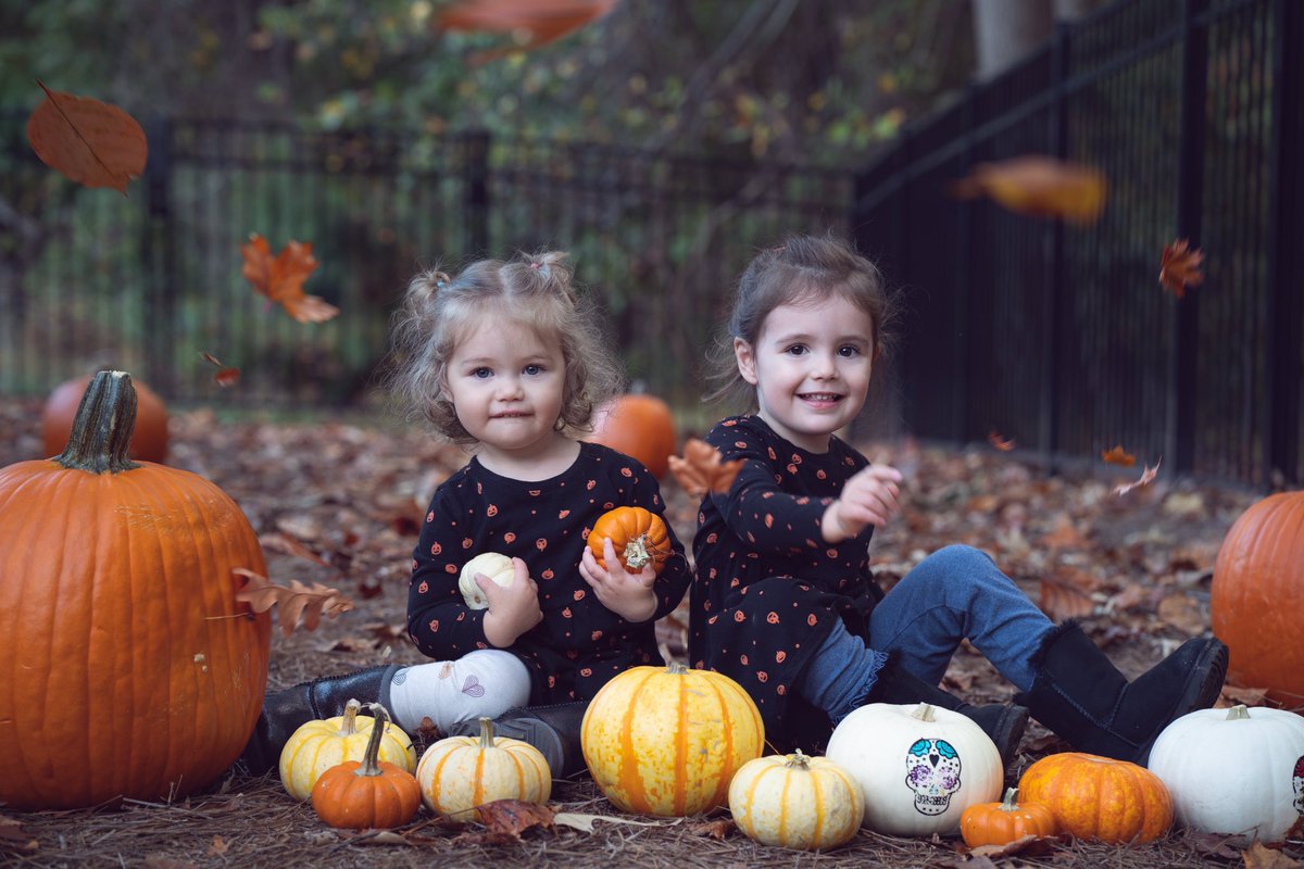 familylirious tweet media