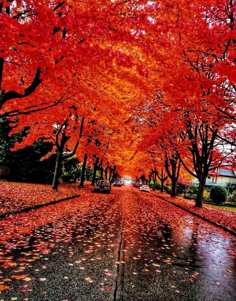 ROSSINNI33's tweet photo. Have a good weekend https://t.co/vUxaXIcCxx