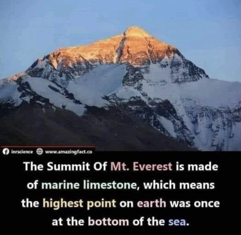 The summit of Mt. Everest is made of marine limestone. 
What do you wonder? 🤔
Great phenomenon for 4th grade Earth Changes (4-ESS1-1) ... just don't share the last part of this sentence! #NGSS #NGSSchat #elemNGSS #phenomena