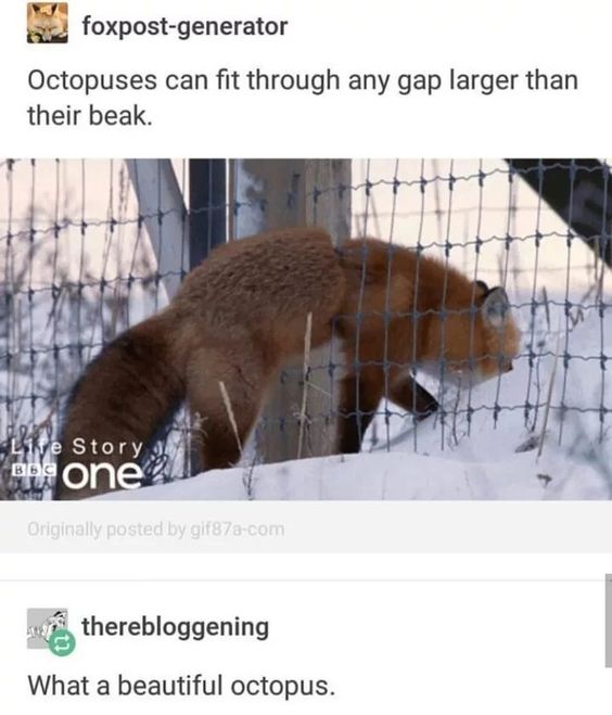 WholesomeMeme's tweet image. 