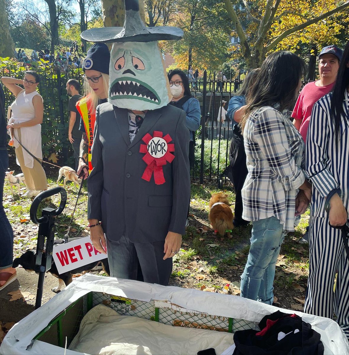 The best of the Fort Greene pups Halloween costume contest, featuring the extremely talented @dsutterm 🎃🐶👻⚰️