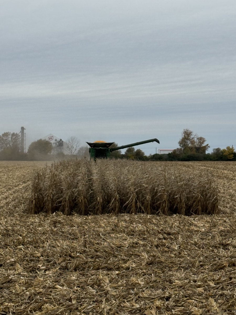 Steve Hettinger tweet media