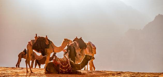 #أفضل_ماقالت_العرب

🔸أطهر الناس أعراقاً أحسنهم أخلاقاً.
🔸إذا هَبَّتْ رياحك فاغتنمها.