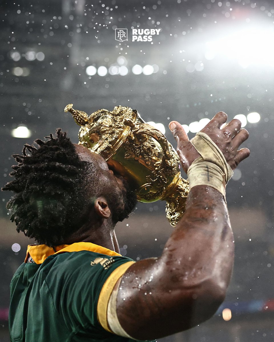 The Springboks are back to back champions 🔥 #rugby #RWC2023 #RWCFinal