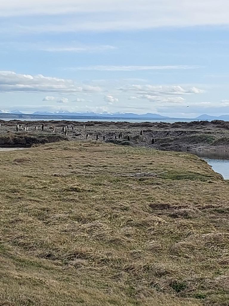 Pamela Poo🌱 tweet media