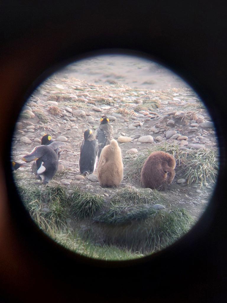 Pamela Poo🌱 tweet media