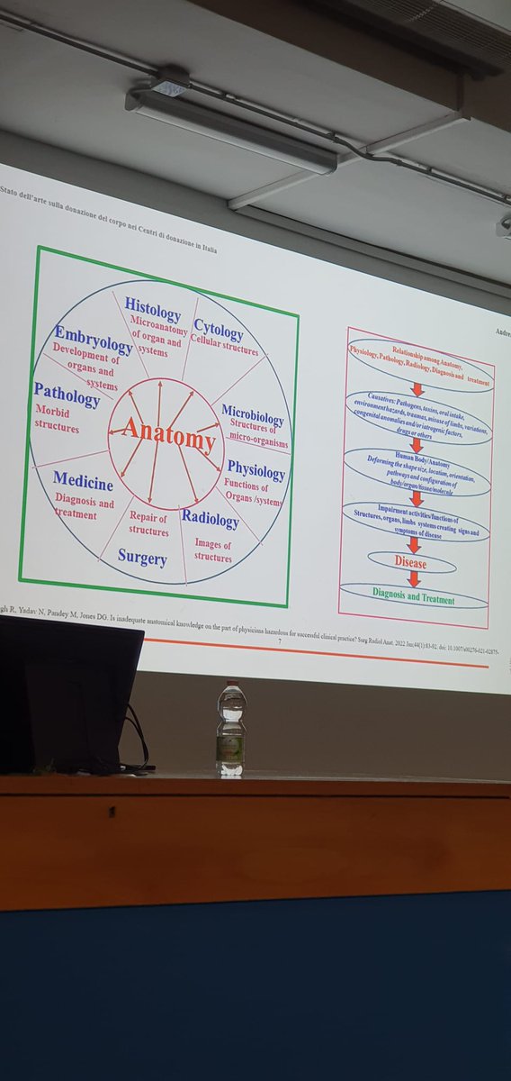 Marcello Trucas tweet media