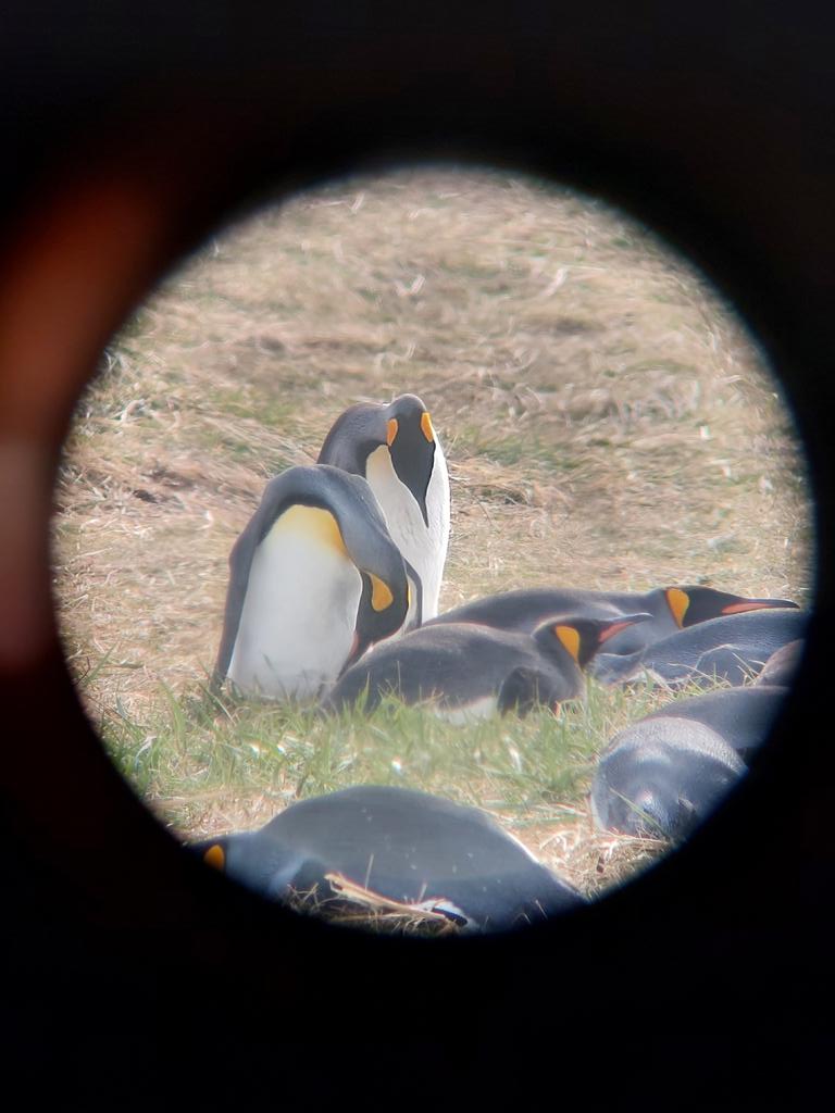 Pamela Poo🌱 tweet media