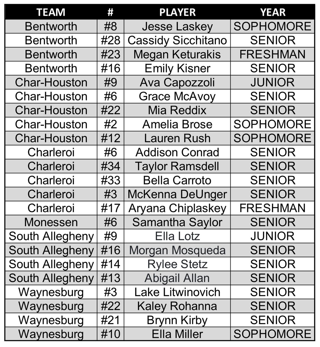 2023 WPIAL Section 2-1A All Section Team