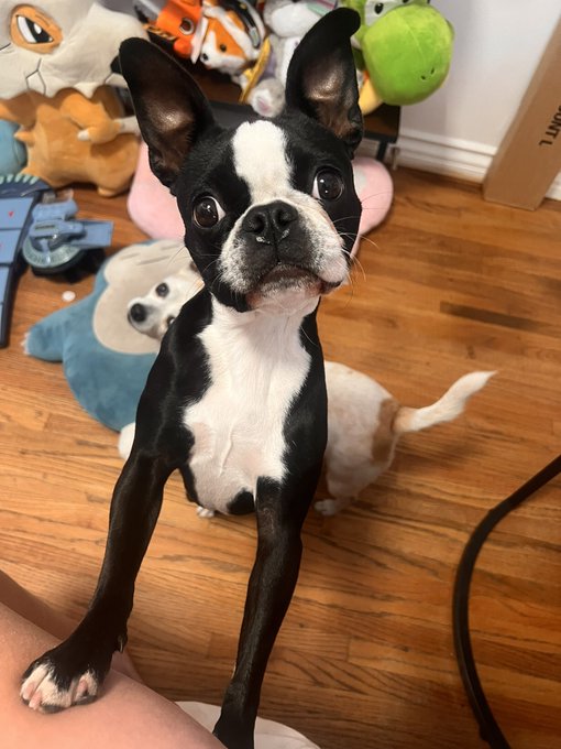 promise me you&rsquo;ll be good https://t.co/cXnRJhMSfR