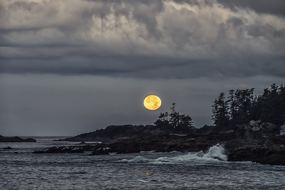 David McColm tweet media