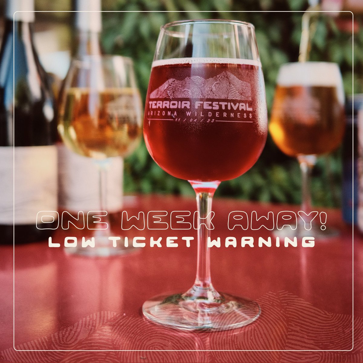 AZWildernessCo's tweet photo. Tickets to Terroir Fest are 75% sold out! Head to https://t.co/vZdvhXkMD4 to save your spot at AZ’s best beer+wine tasting party while you can. https://t.co/2OrUGEgIz4