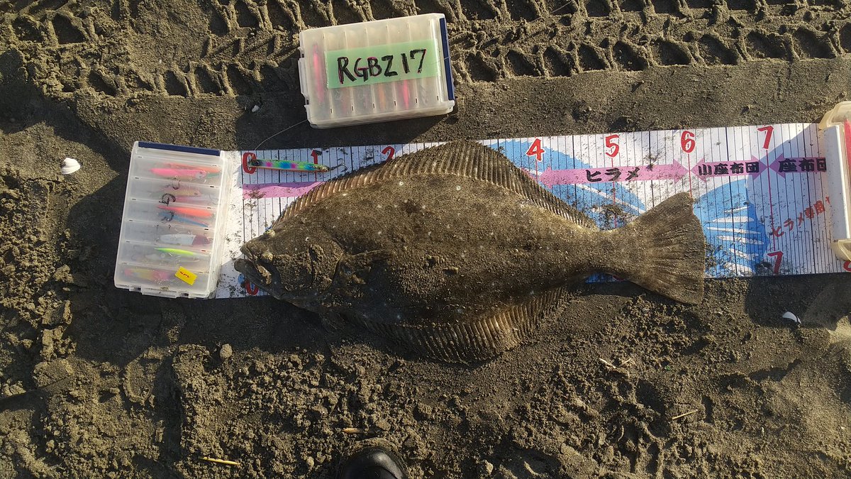 てんこ tweet media