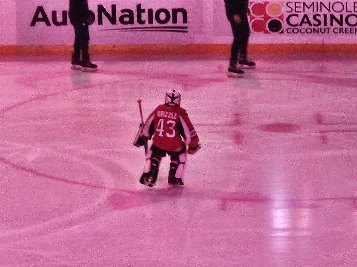 Palm Beach Hawks Youth Travel Hockey tweet media