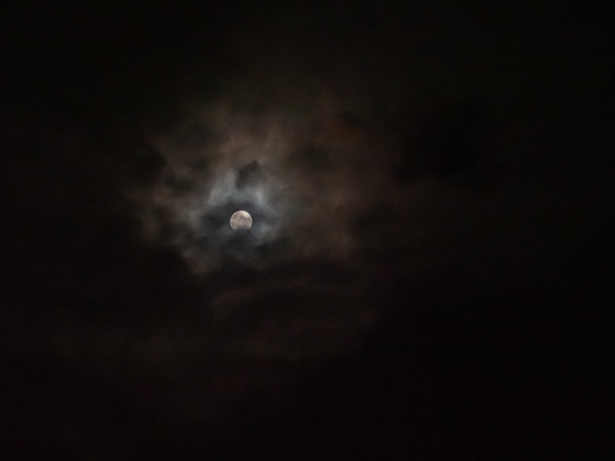 realGHodson's tweet image. All the waiting for a break in the clouds paid off.
#LunaEclipse
#huntermoon
#astrophotography