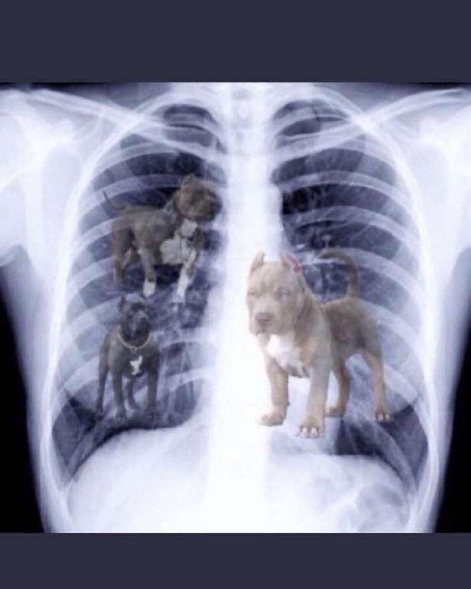 ROLL CLONES 🌪️🌪️🌪️