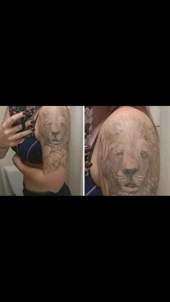 O leão do pici nesse momento 🤣🤣🤣🤣🤣🤣🤣🤣🤣