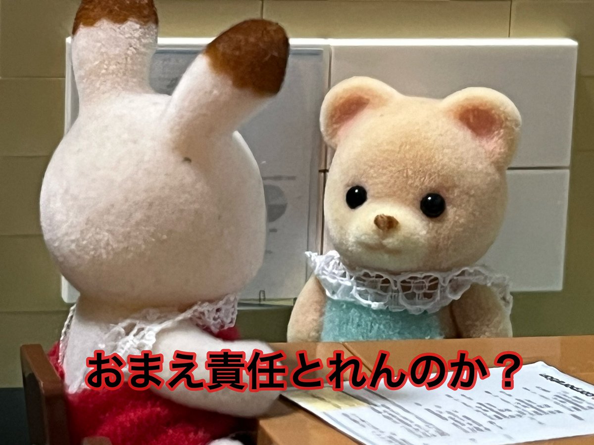 sylvanianwriter's tweet image. 衰退する企業の特徴

#大人のシルバニア