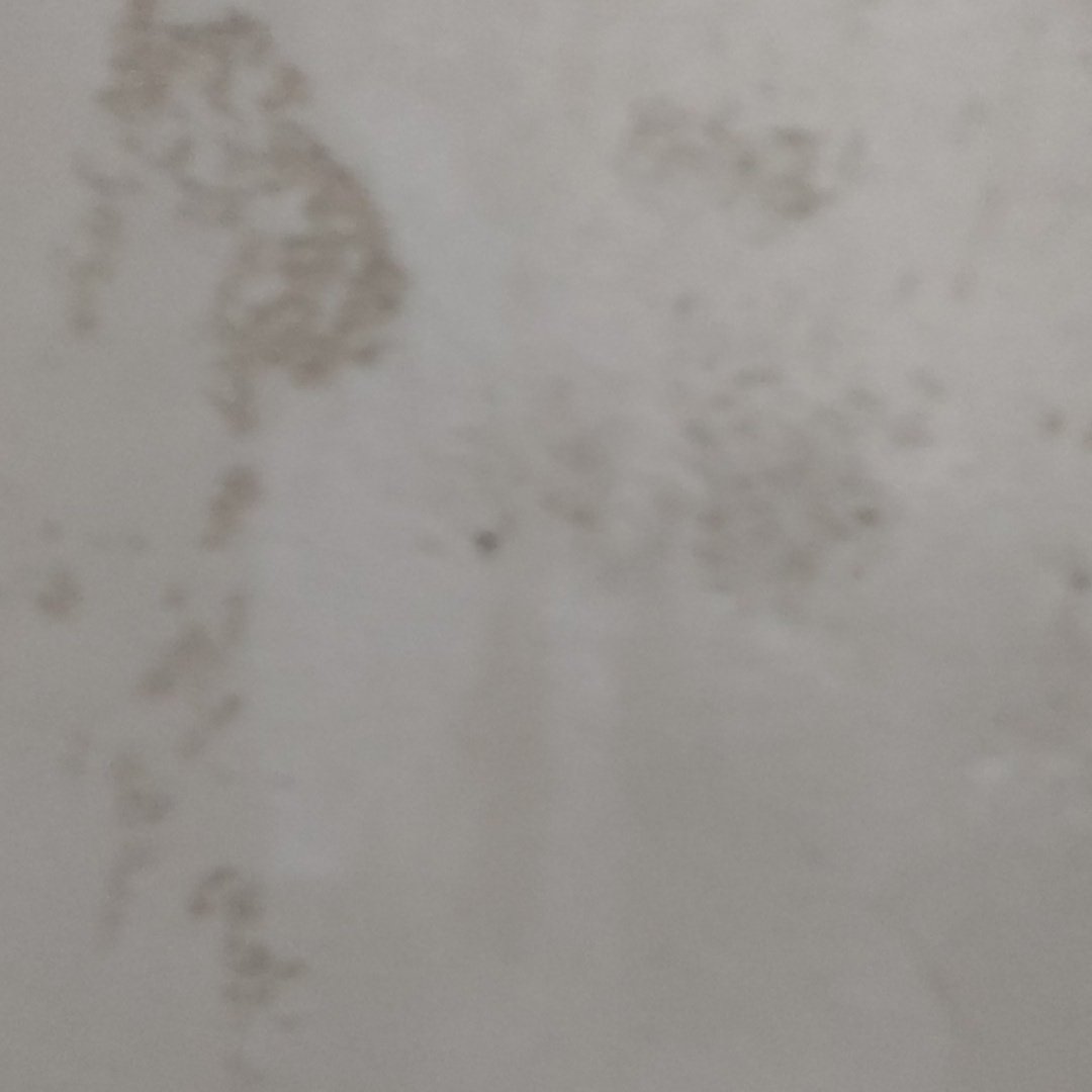 #NoweZdjecieProfilowe