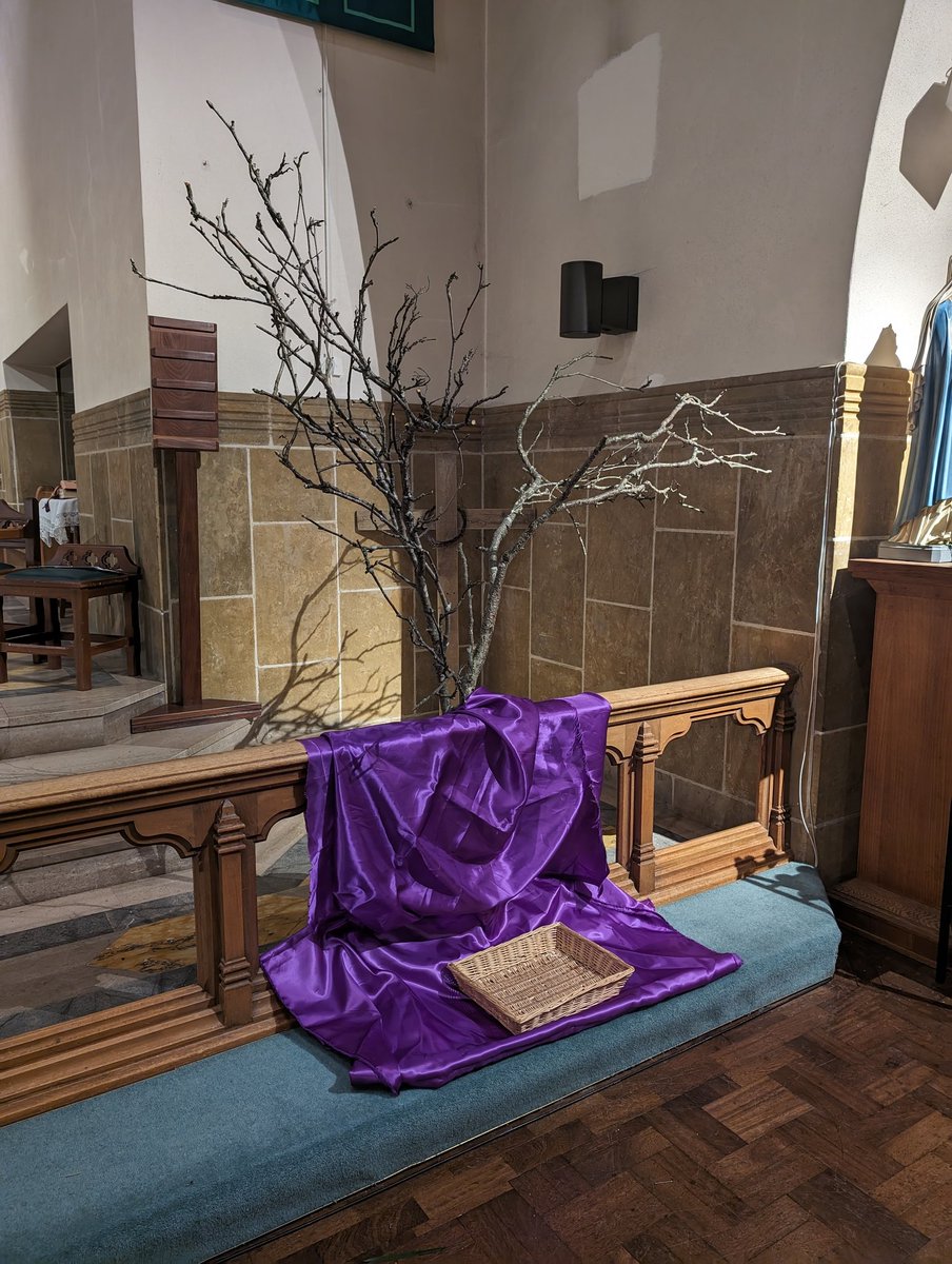 Our November memorial tree at St Rose of Lima @olsrsp @frgazza #november #monthofthedead #divinerenovation