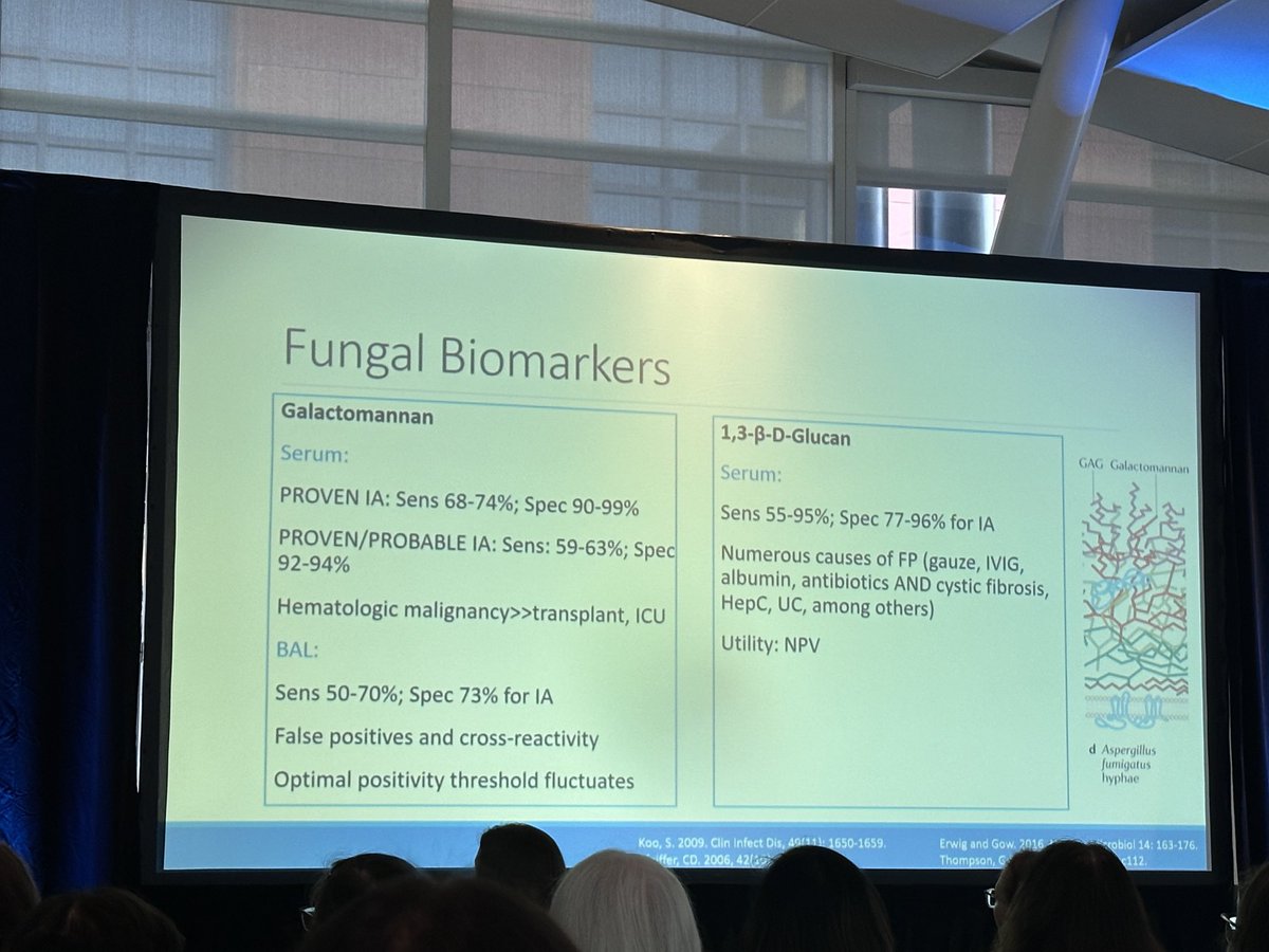SBtotheDub's tweet photo. ⁦@TanisDingle⁩ genuinely giving one of the best diagnostic talks ever - one stop shop for all things fungal diagnostics!! 🤩🤩🤩 🐐 #SCASM23 https://t.co/l3fCLQcK2T