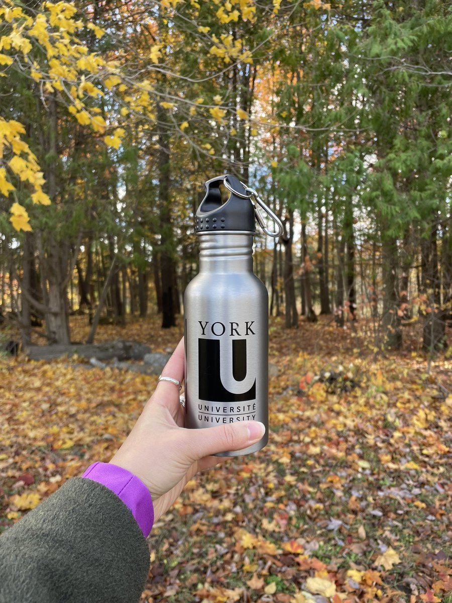 farnaz_mansouri's tweet photo. Hike and picnic with the @BayfieldLab 🍂🍁🥪🧺 #labouting #fallcolours https://t.co/KtKpUarBZd